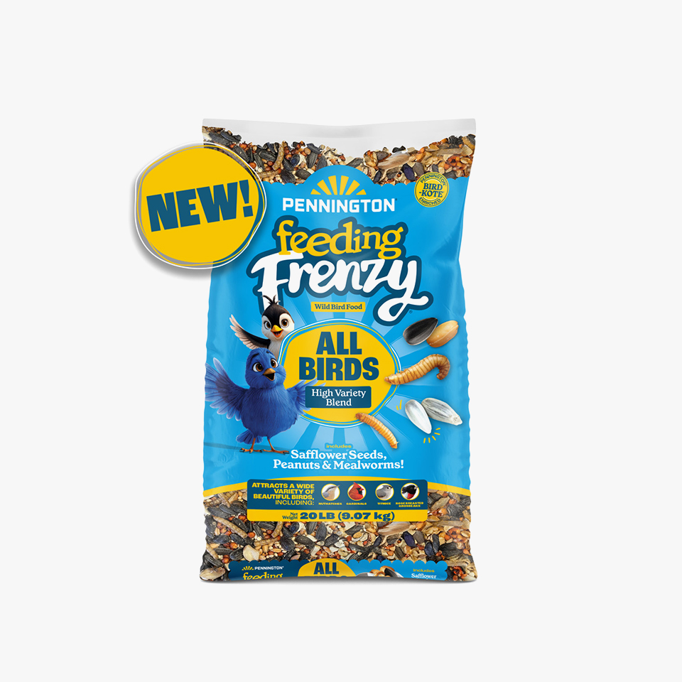 Peckish Complete Seed and Nut Mix for Wild Birds 2kg