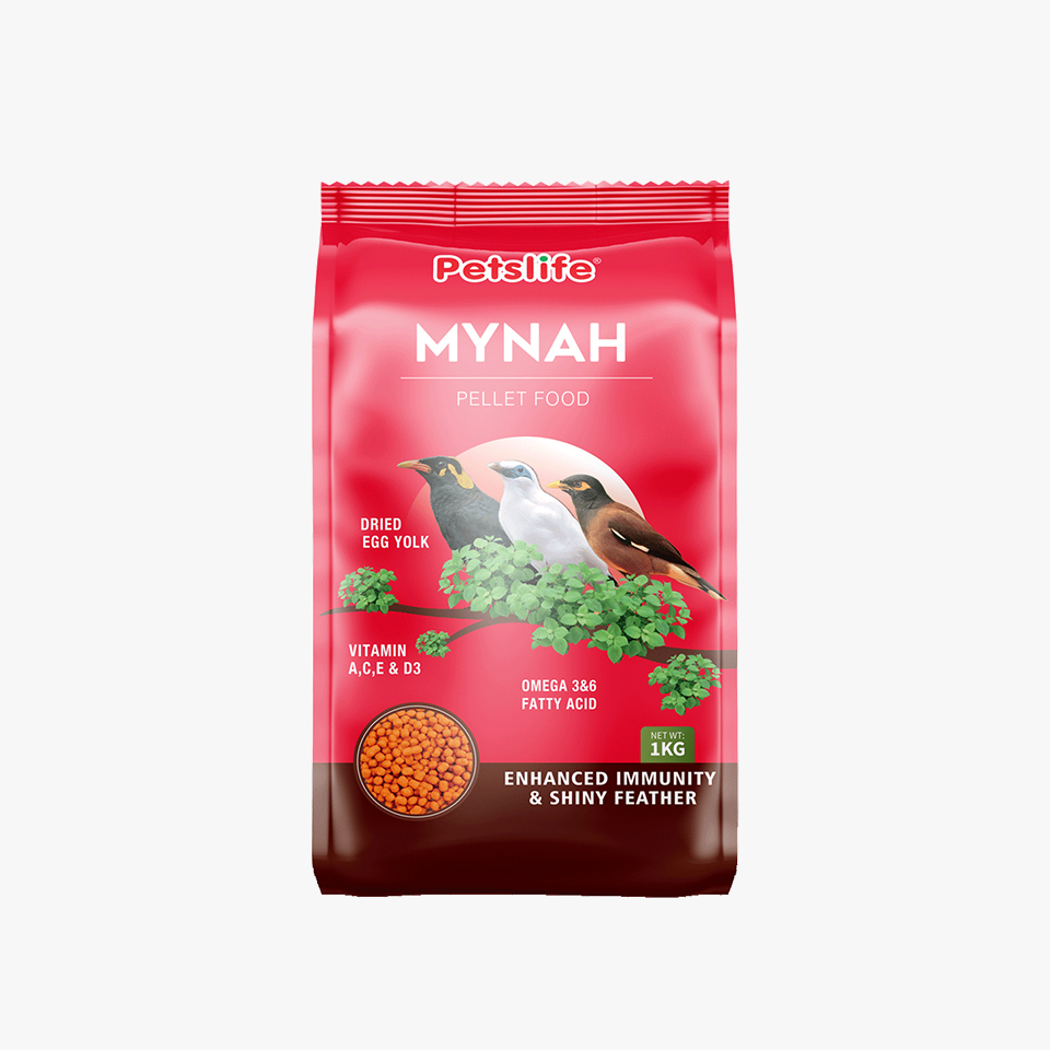 Petslife Mynah Bird Food, 400g, Comlete Nutrition with Omega